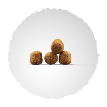 josera-hundefutter-kroketten-familyplus Josera Super Premium suha hrana za pse.