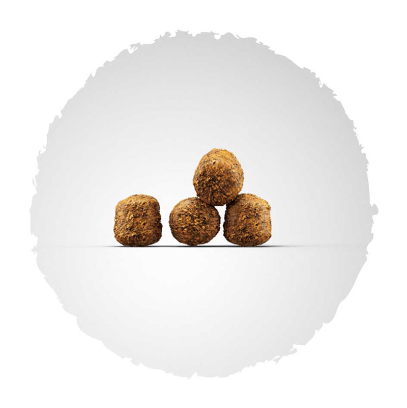 josera-hundefutter-kroketten-familyplus Josera Super Premium suha hrana za pse.