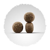 josera-hundefutter-kroketten-highenergy Josera Super Premium suha hrana za pse.
