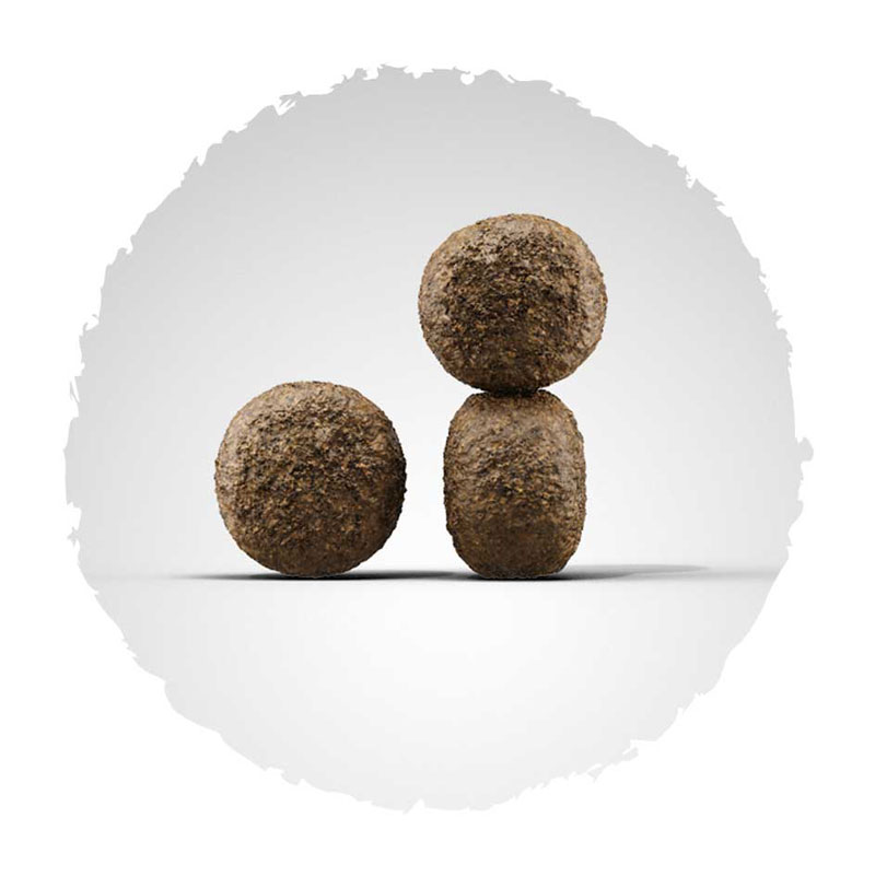 josera-hundefutter-kroketten-highenergy Josera Super Premium suha hrana za pse.