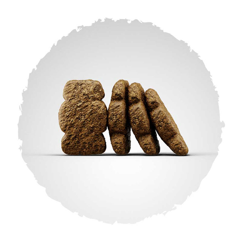 josera-hundefutter-kroketten-kids Josera Kids hrana za mlade pse