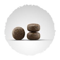 josera-hundefutter-kroketten-light-und-vital-quadratisch Josera Super Premium suha hrana za pse.