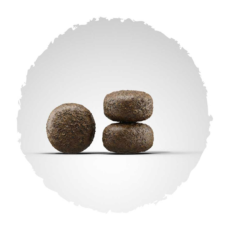 josera-hundefutter-kroketten-light-und-vital-quadratisch Josera Super Premium suha hrana za pse.