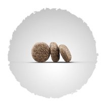 josera-hundefutter-kroketten-minijunior Josera Super Premium suha hrana za pse.