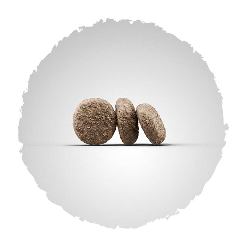 josera-hundefutter-kroketten-minijunior Josera Super Premium suha hrana za pse.