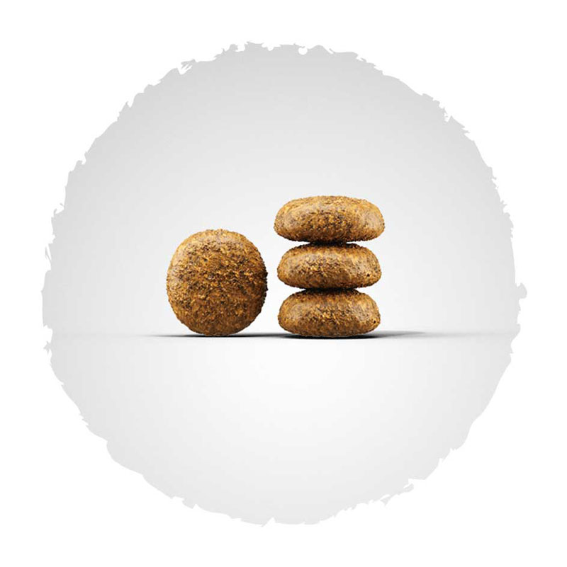josera-hundefutter-kroketten-miniwell Josera Super Premium suha hrana za pse.