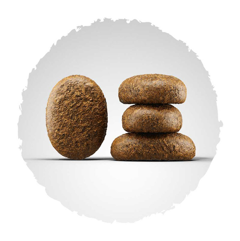 josera-hundefutter-kroketten-optiness Josera Super Premium Optiness suha hrana za pse s piletinom i janjetinom.