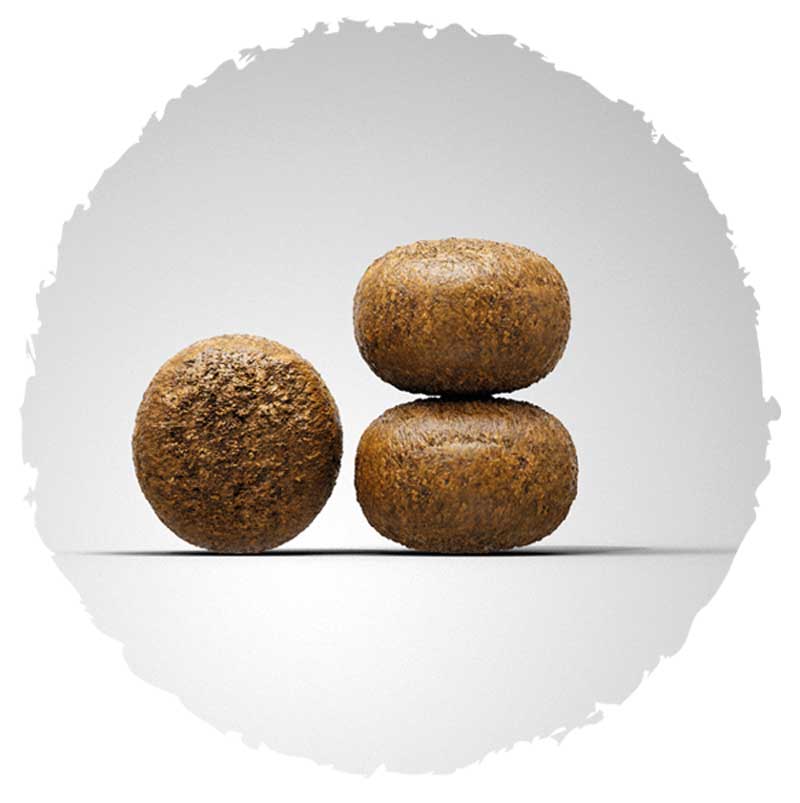 josera-hundefutter-kroketten-youngstar Young Star Super Premium suha hrana za mlade i odrasle pse