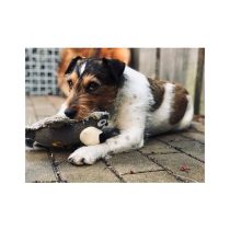 balu_hundespielzeug Plišani medvjed Rüdiger igračka za pse od prirodnih materijala