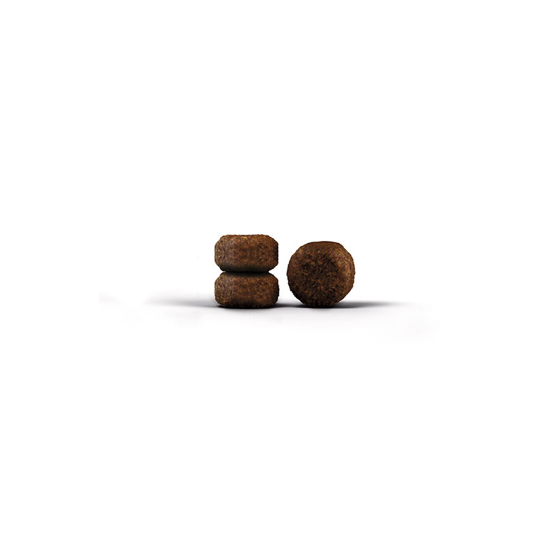 josera-carismo-cat-food-croquette_2_1 Josera Super Premium suha hrana za mačke